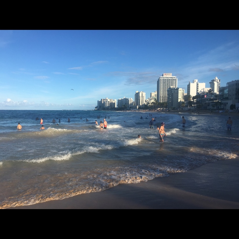 Meet your Posher, Eileen